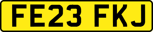 FE23FKJ