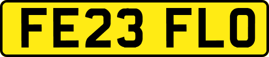 FE23FLO