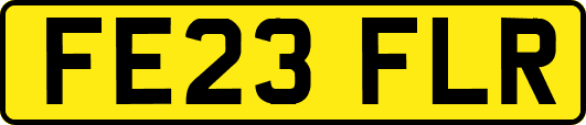 FE23FLR