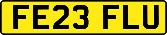 FE23FLU