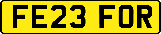 FE23FOR