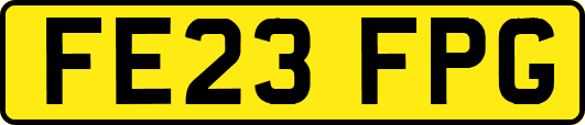 FE23FPG
