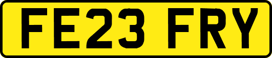 FE23FRY