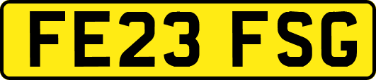 FE23FSG