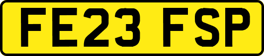 FE23FSP
