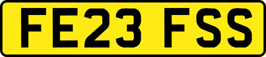 FE23FSS