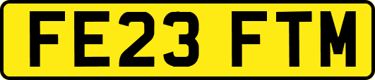 FE23FTM