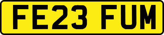 FE23FUM