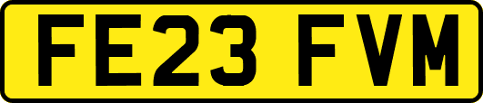 FE23FVM