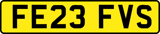 FE23FVS