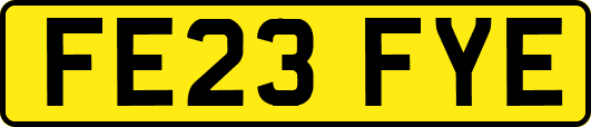 FE23FYE