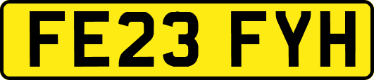 FE23FYH