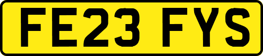 FE23FYS