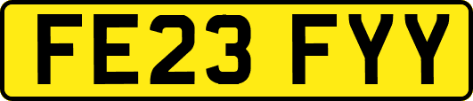 FE23FYY