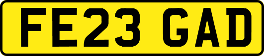 FE23GAD