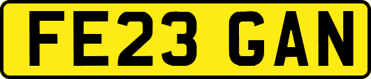 FE23GAN