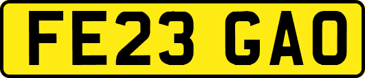 FE23GAO