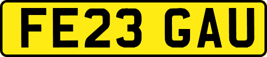 FE23GAU