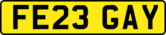 FE23GAY