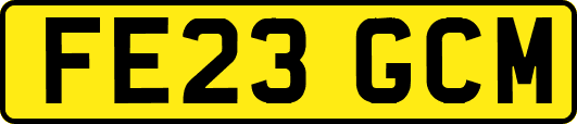 FE23GCM