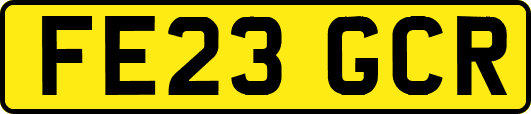 FE23GCR