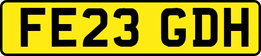 FE23GDH