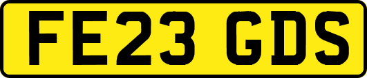 FE23GDS
