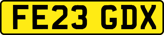 FE23GDX
