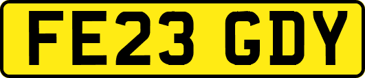 FE23GDY