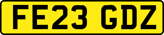 FE23GDZ