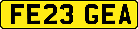 FE23GEA