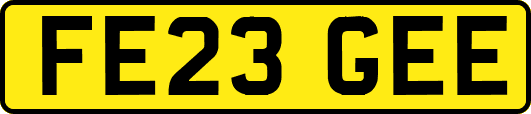 FE23GEE