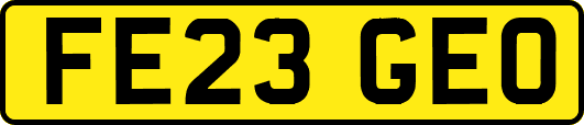 FE23GEO