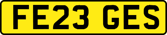 FE23GES