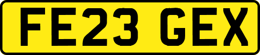 FE23GEX