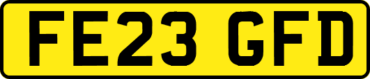FE23GFD