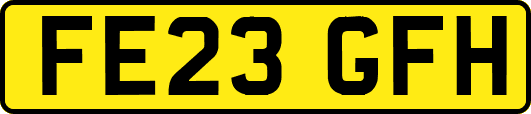 FE23GFH