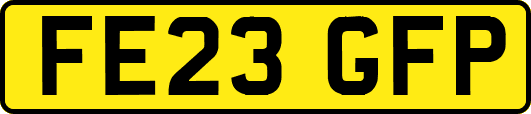 FE23GFP