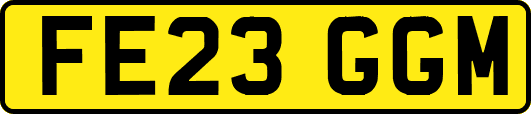 FE23GGM