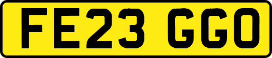 FE23GGO