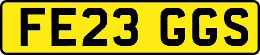FE23GGS
