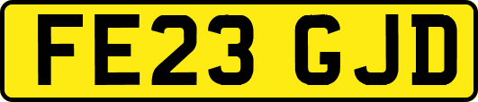 FE23GJD