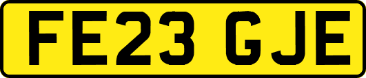FE23GJE
