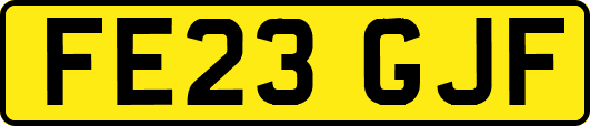 FE23GJF