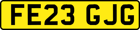 FE23GJG