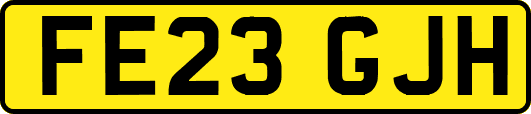 FE23GJH