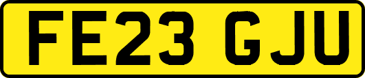 FE23GJU