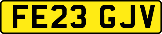 FE23GJV