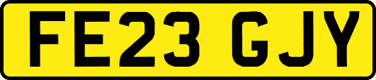 FE23GJY