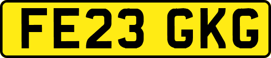 FE23GKG